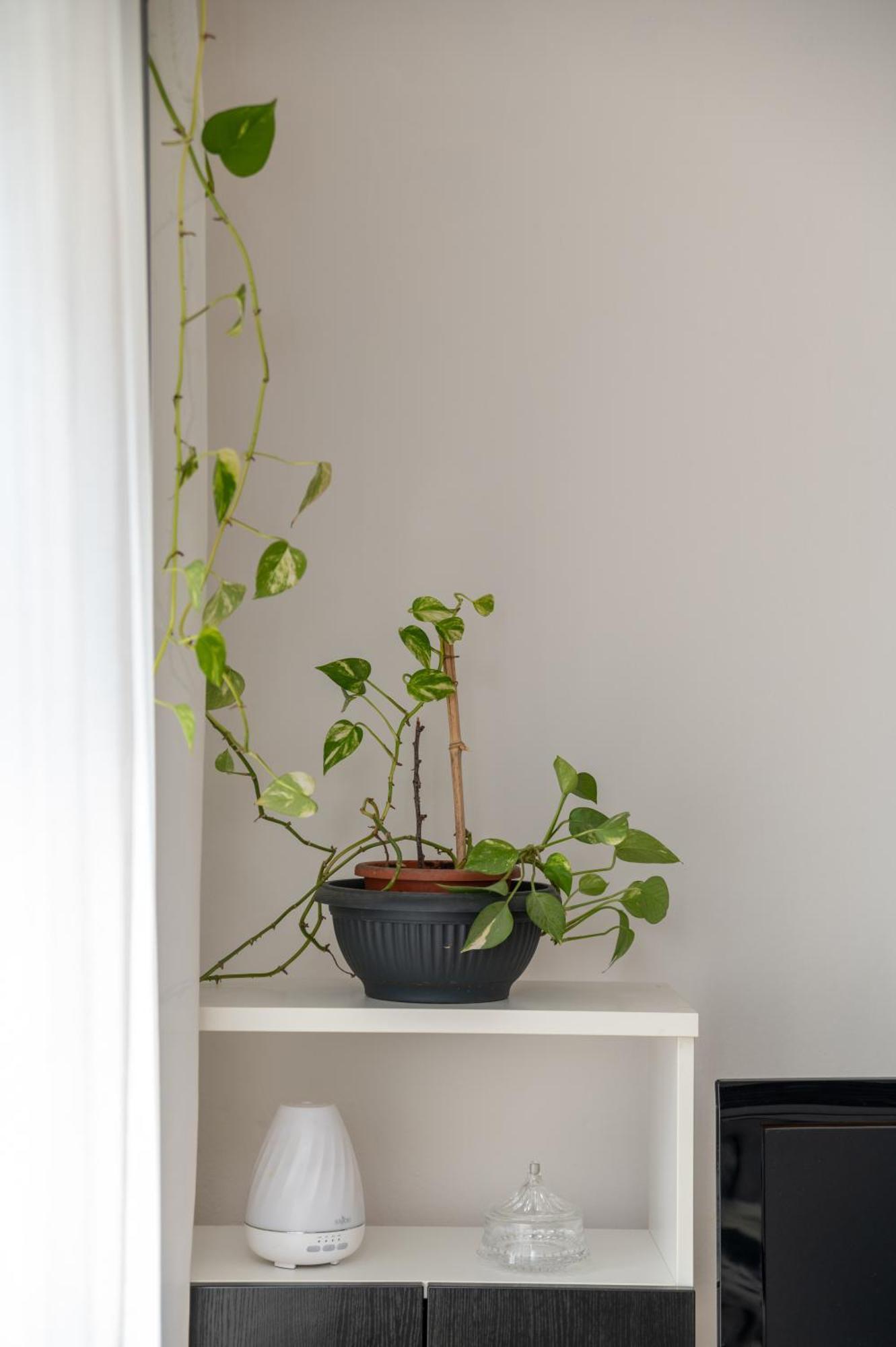 Apartman Milijana Фажана Экстерьер фото